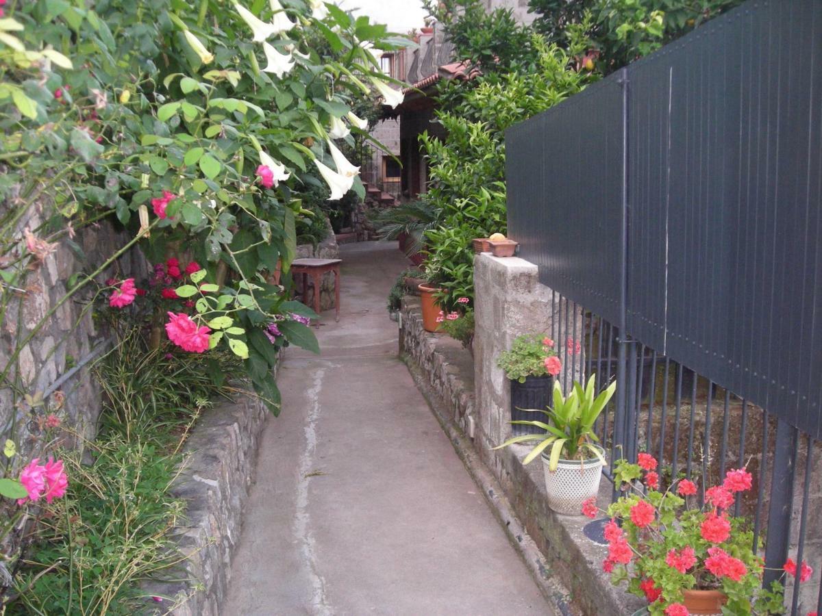 B&B L'Arcobaleno Sorrento Exteriér fotografie
