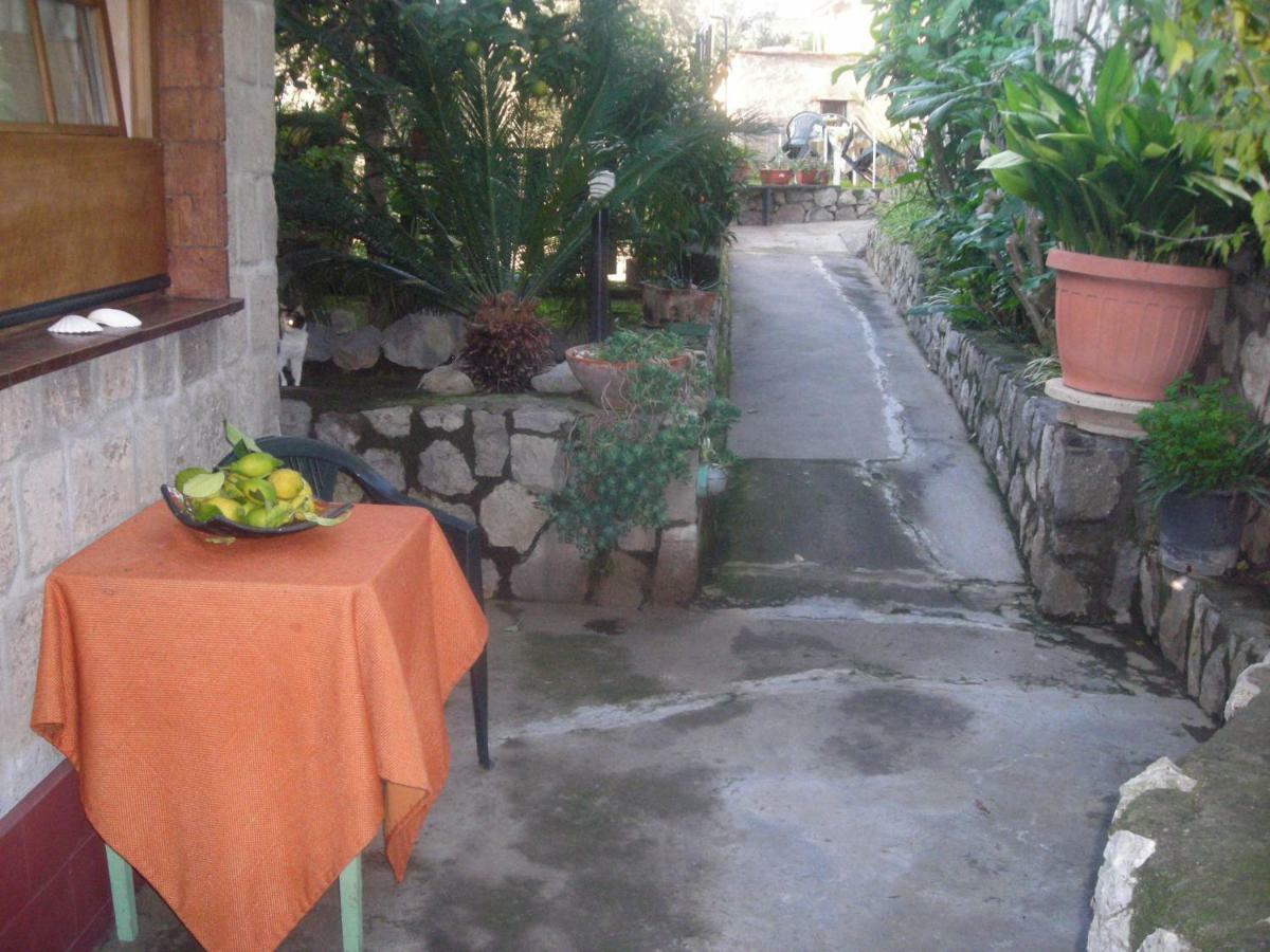 B&B L'Arcobaleno Sorrento Exteriér fotografie