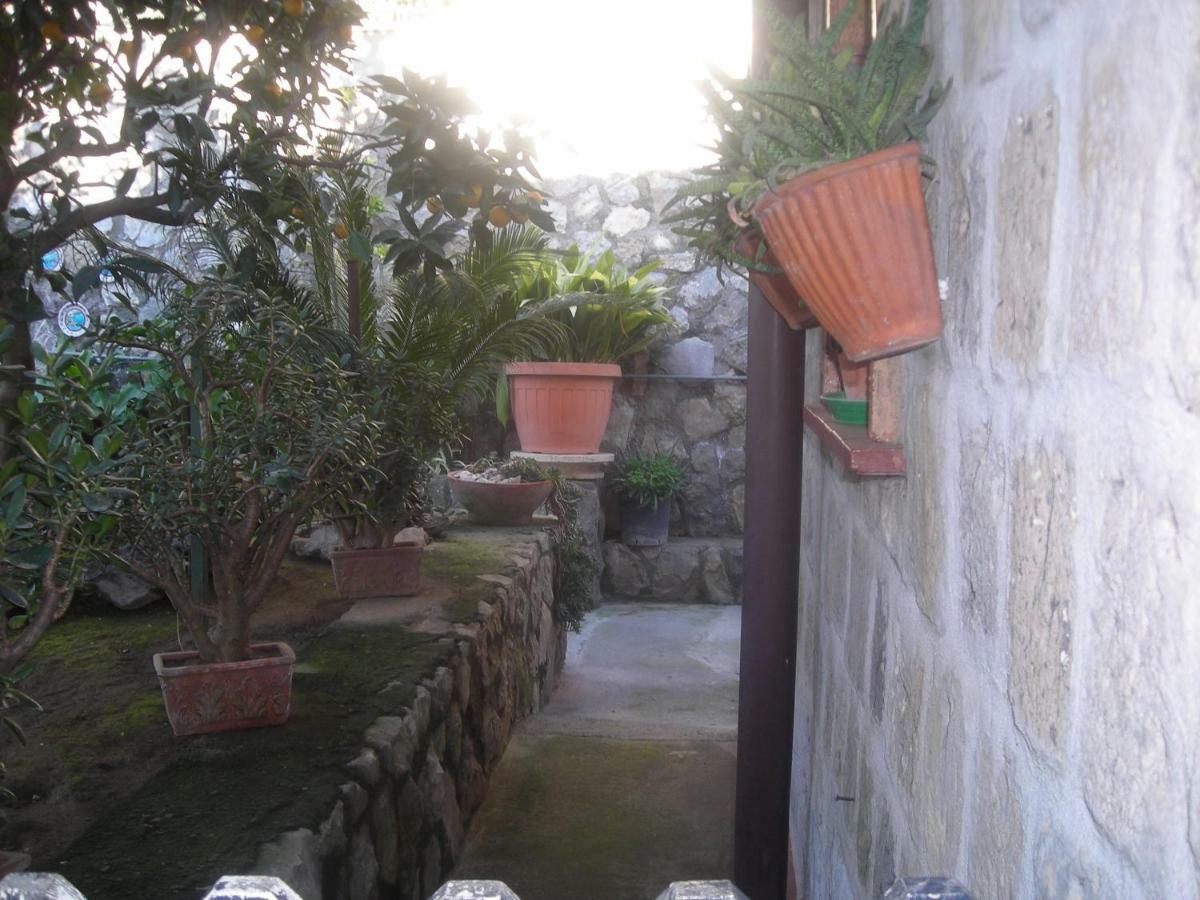 B&B L'Arcobaleno Sorrento Exteriér fotografie