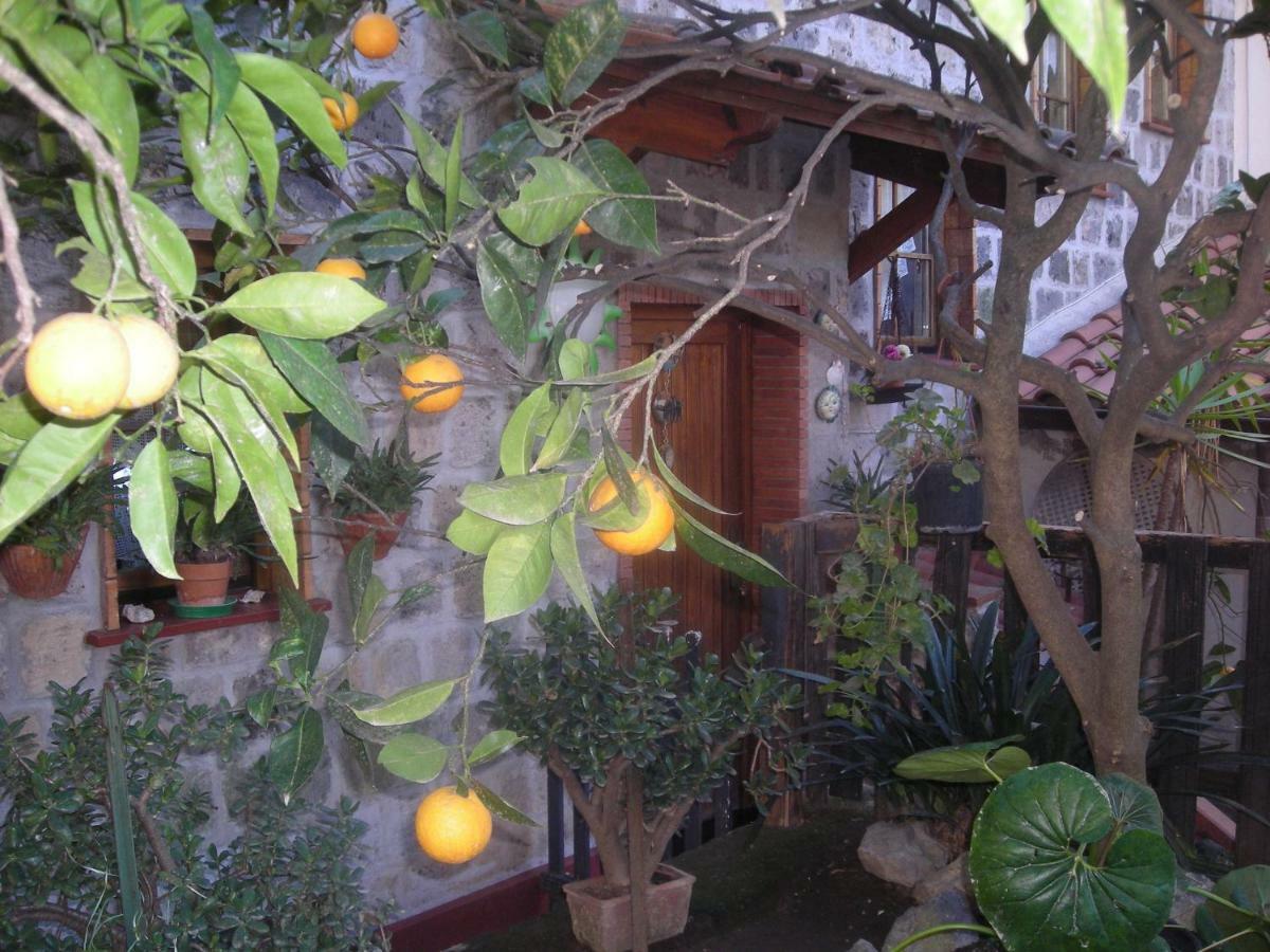 B&B L'Arcobaleno Sorrento Exteriér fotografie
