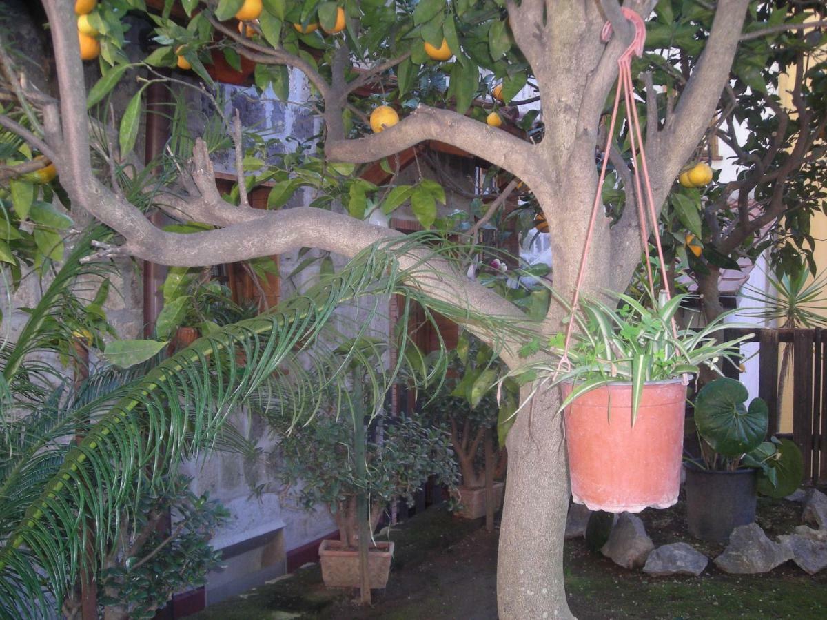B&B L'Arcobaleno Sorrento Exteriér fotografie