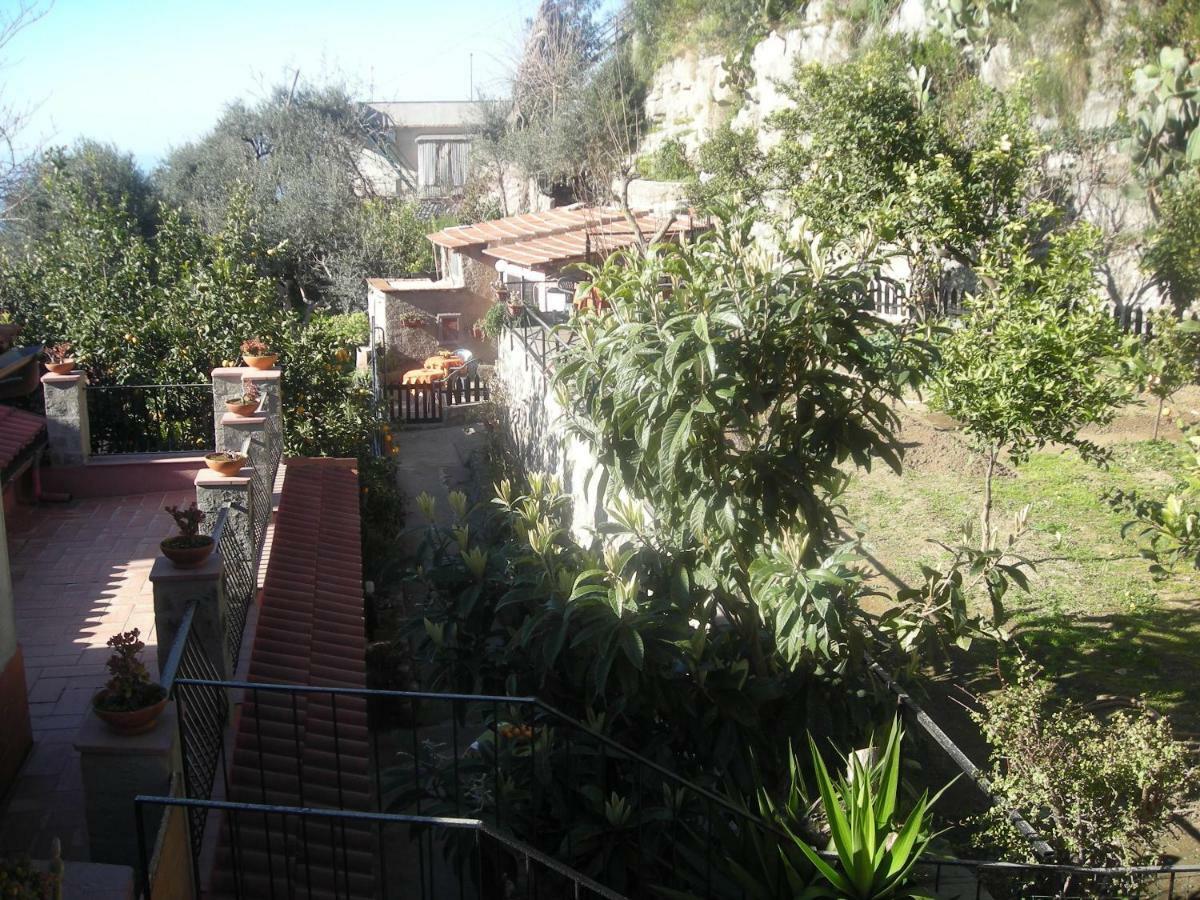 B&B L'Arcobaleno Sorrento Exteriér fotografie