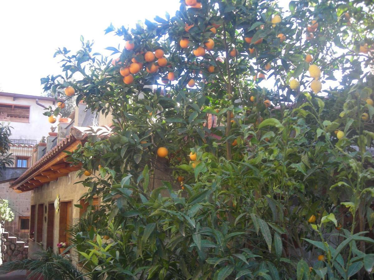 B&B L'Arcobaleno Sorrento Exteriér fotografie