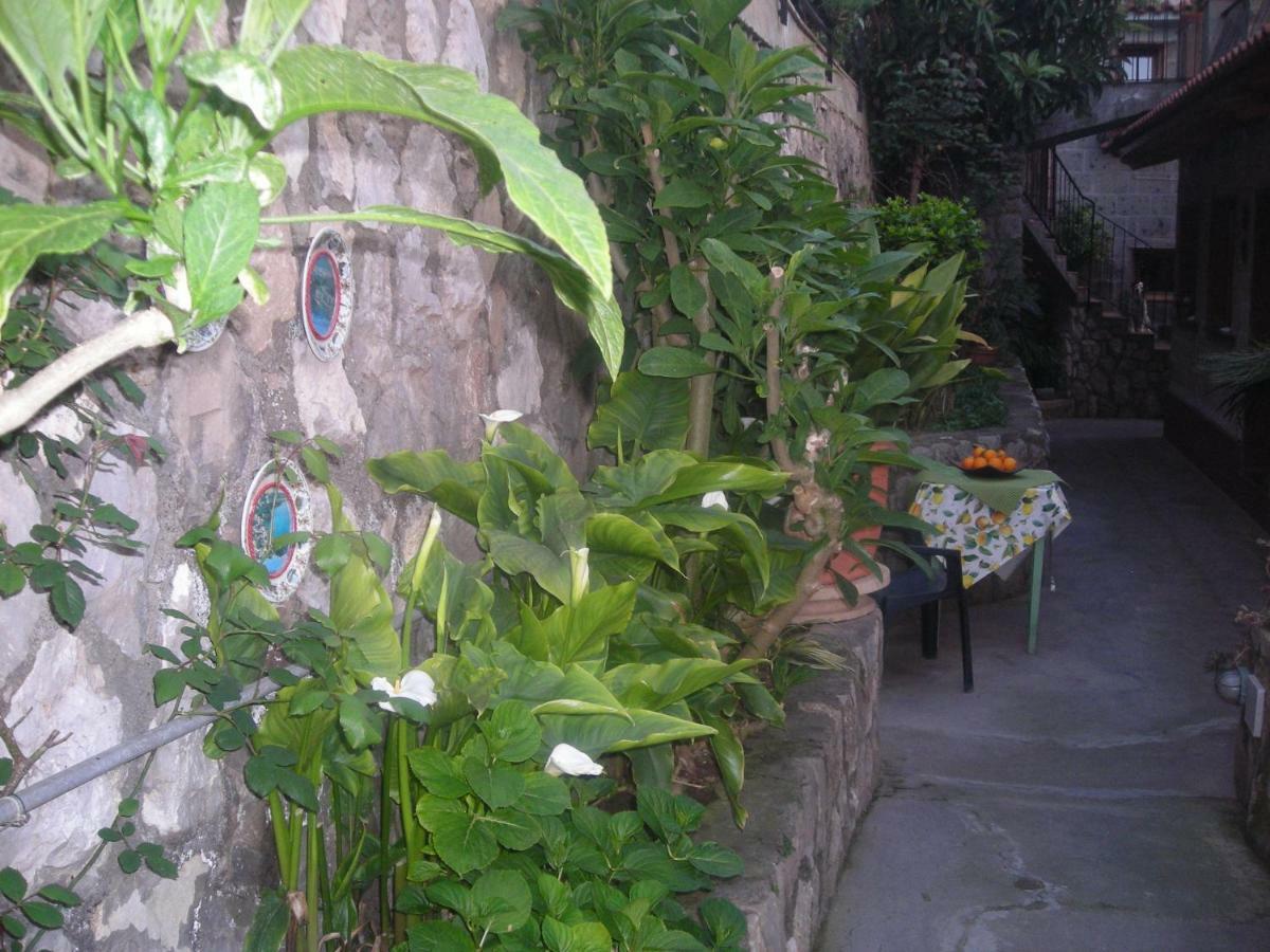 B&B L'Arcobaleno Sorrento Exteriér fotografie