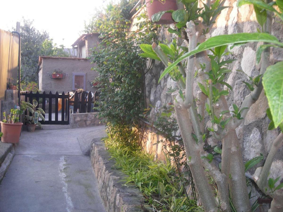 B&B L'Arcobaleno Sorrento Exteriér fotografie