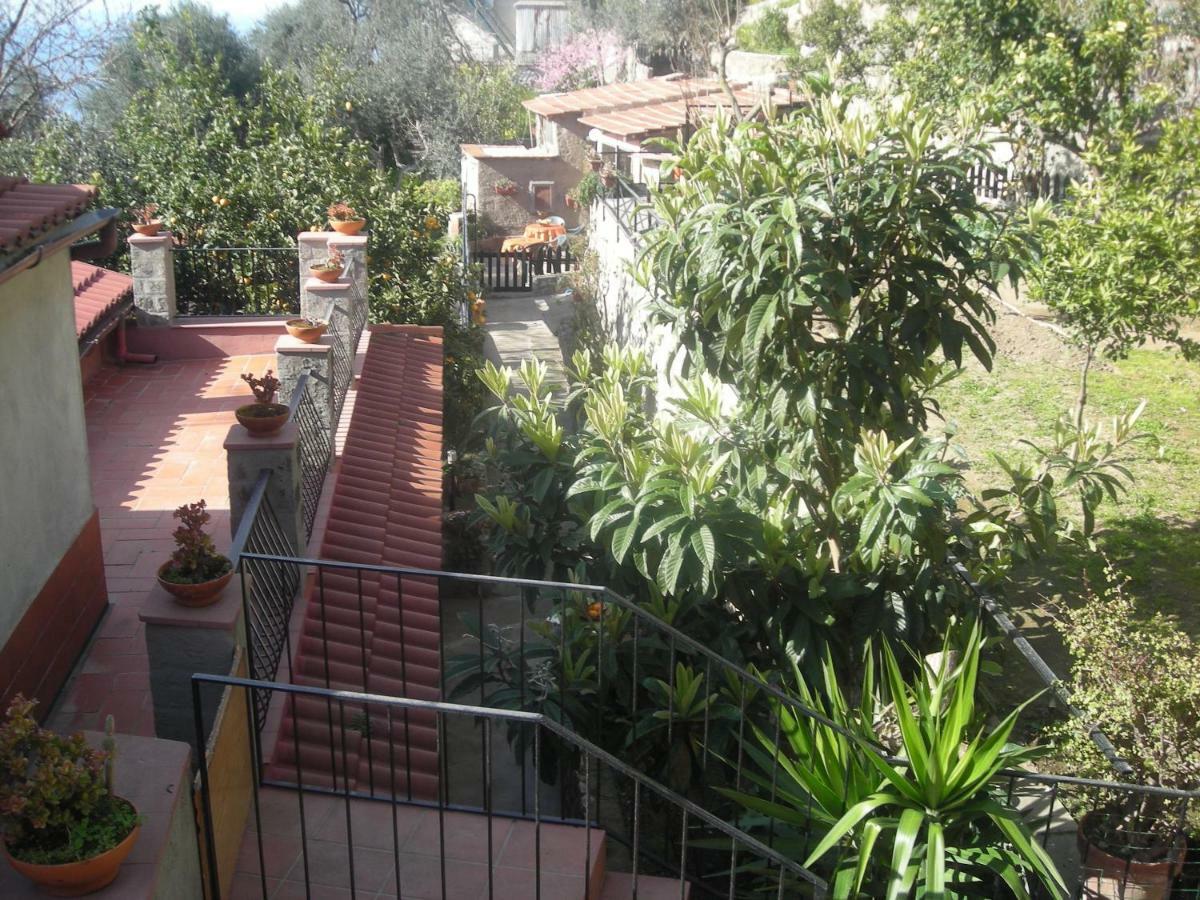 B&B L'Arcobaleno Sorrento Exteriér fotografie