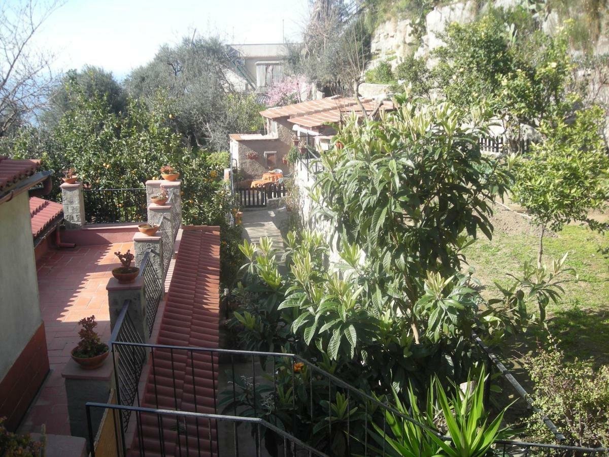 B&B L'Arcobaleno Sorrento Exteriér fotografie